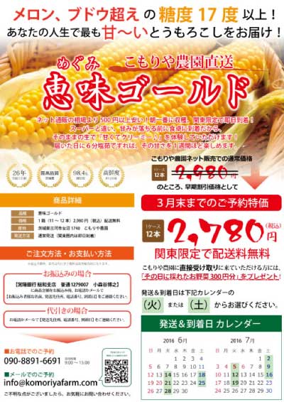 折込チラシ 作成