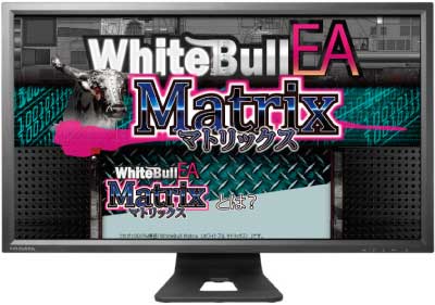 セールスレターサイト作成見本